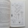 Flora Zambesiaca (Vol. 5, Part 1) | E. Launert (Ed.)