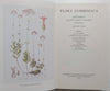 Flora Zambesiaca (Vol. 4) | E. Launert (Ed.)