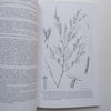 Flora Zambesiaca (Vol. 3, Part 6) | G. V. Pope (Ed.)
