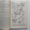 Flora Zambesiaca (Volume 2, Part 2) | A. W. Exell, et al. (Eds.)