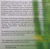 The Bamboo Principle: The Roots Beneath Results | Ken Lodi