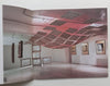 Wim Botha: Cold Fusion, Gods, Heroes and Martyrs (Catalogue to Accompany the Exhibition)