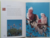 Birds: Australia | Pat Slater