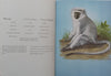Mammals of the Kruger and Other National Parks (Hardcover, Afrikaans/English Dual Language Ed.) | R. J. Labuschagne &amp; N. J. van der Merwe