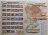 Mountain Zebra National Park Visitor’s Map