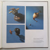 Richard John Forbes: A.R.C. @ JAG (Catalogue to Accompany the Exhibition)