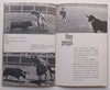 The Portuguese Bullfight