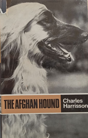 The Afghan Hound | Charles Harrison
