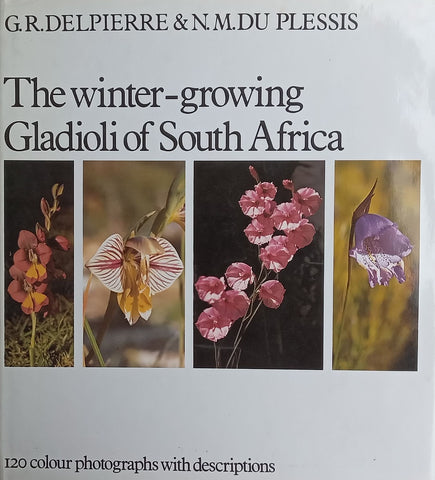 The Winter-Growing Gladioli of South Africa | G. R. Delpierre & N. M. du Plessis
