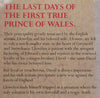 Afterglow and Nightfall (Brothers of Gwynedd IV) | Edith Pargeter
