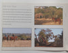 Limpopo Valley Horse Safaris: Tuli Block – Botswana (Brochure)