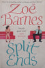 Split Ends | Zoe Barnes