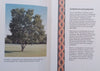 Trees of the Year 1995 | C. J. Esterhuyse