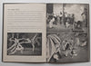 The Theatre Ballet of Sadler’s Wells | Roger Wood, et al.
