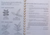 Key to Some Trees of Gauteng (Signed by Author) | Meg Coates Palgrave