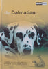 The Dalmatian