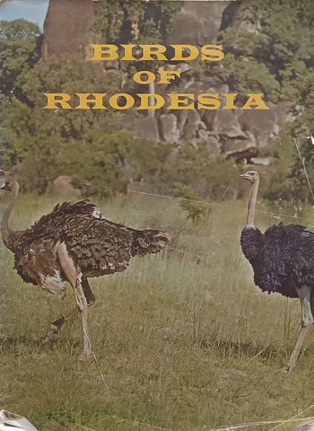 Birds of Rhodesia | R. W. Rankine