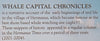 Whale Capital Chronicles I | SJ du Toit