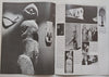 African Sculpture in the U.S. (To Accompany the Exhibition)