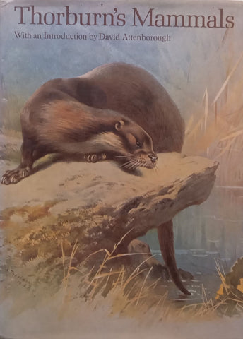 Thorburn’s Mammals | Iain Bishop (Ed.)