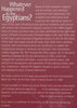 Whatever Happened to the Egyptians? Changes in Egyptian Society from 1950 to the Present | Galal Amin