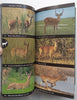 Collins Guide to African Wildlife | Peter C. Alden, et al.