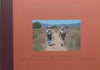 “Nuestro Camino” Vivencias Inolvidables de la Familia Tordesillas Caminando a Santiago de Compostela, 2009 (Spanish) | Angel &amp; David Tordesikkas