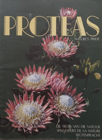 Proteas: Nature’s Pride