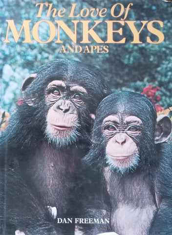 The Love of Monkeys and Apes | Dan Freeman