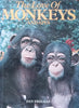 The Love of Monkeys and Apes | Dan Freeman