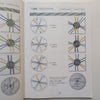 Comprehensive Treatise of Braids VI: Kumihimo Disk and Plate (English/Japanese Text) | Makiko Tada