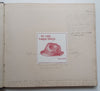 A High School for Boys (Architectural Thesis) | C. H. D. Howes