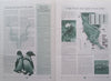 Park News (Issue No. 5, August 2001)