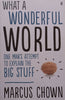 What a Wonderful World: One Man’s Attempt to Explain the Big Stuff | Marcus Chown