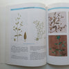 Flora of Saudi Arabia (3 Vols, 4th Ed.) | Ahmad Mohammad Migahid