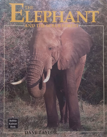 The Elephant and the Scrub Forest | Dave Taylor