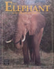 The Elephant and the Scrub Forest | Dave Taylor