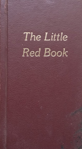 The Little Red Book: An Orthodox Interpretation of the Twelve Steps of the Alcoholics Anonymous Program
