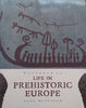 Handbook to Life in Prehistoric Europe | Jane McIntosh