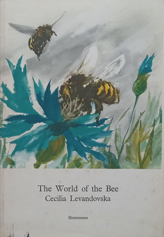 The World of the Bee (With Newspaper Clipping ‘The Honey Bee’) | Cecilia Levandovska