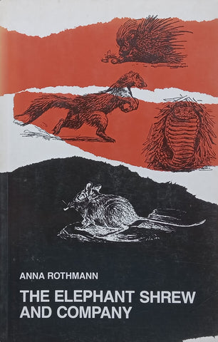 The Elephant Shrew and Company | Anna Rothmann