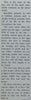The World of the Bee (With Newspaper Clipping ‘The Honey Bee’) | Cecilia Levandovska