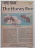 The World of the Bee (With Newspaper Clipping ‘The Honey Bee’) | Cecilia Levandovska
