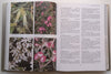 Australian Native Plants: Propagation, Cultivation and Use in Landscaping (3rd. Ed) | John W. Wrigley & Murray Fagg