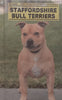 Staffordshire Bull Terriers | Anna Katherine Nicholas