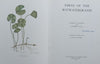 Ferns of the Witwatersrand (Signed by Co-Author Annabelle Lucas) | Florence D. Hancock & Annabelle Lucas