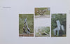 Five Sculptors: An Exhibition of Metal Sculpture (Booklet to Accompany the Exhibition)