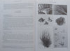 A Marine Wildlife Sanctuary for the Arabian Gulf: Environmental Research and Conservation Following the 1991 Gulf War Oil Spill | Friedheim Krupp, et al.