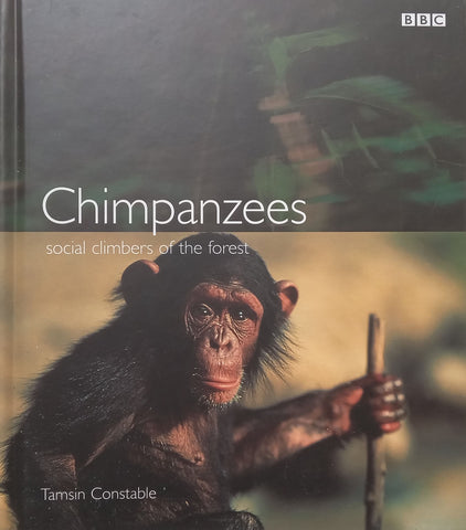 Chimpanzees: Social Climbers of the Forest | Tamsin Constable
