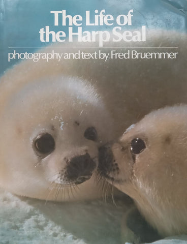 The Life of the Harp Seal | Fred Bruemmer